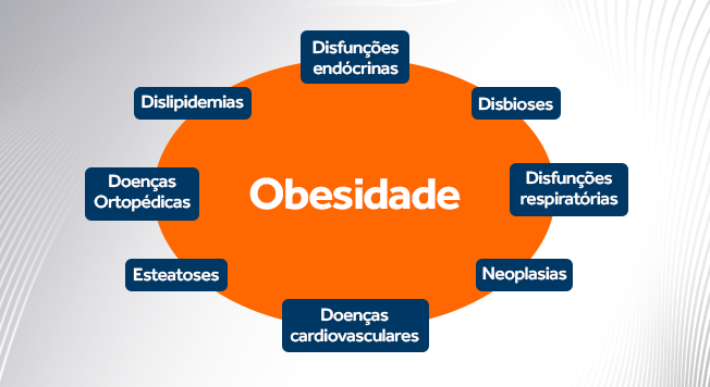 Obesidade e comorbidades em cães